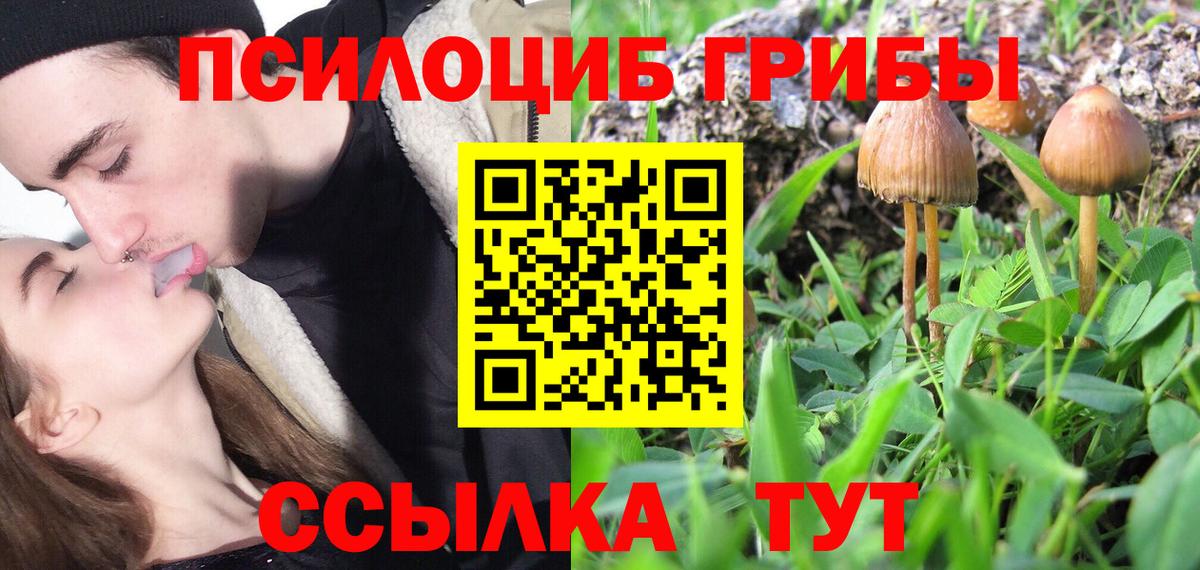 Галлюциногенные грибы Cubensis  Вход с VPN  Галлюциногенные грибы Psilocybine cubensis  Новый Уренгой 
